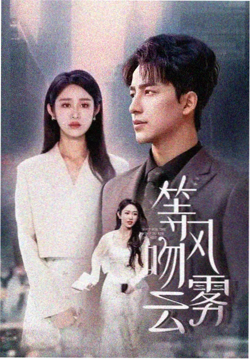 《戴高乐机场最后一班》剧集海报
